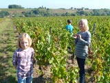 Découverte du panier du vigneron