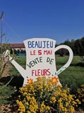 Vente de fleurs et de plançons de légumes