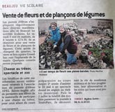 Vente de fleurs et de plançons de légumes