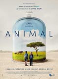 Affiche Animal