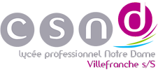 Logo Professionnel Notre-Dame